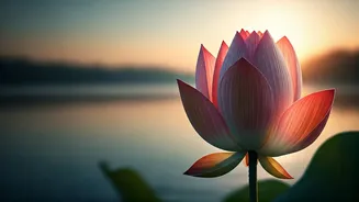 Related Stories banner