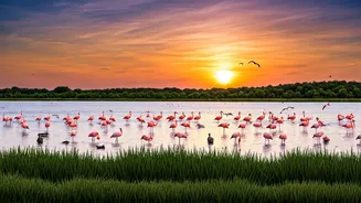 India's Avian Jewels: 10 Lakes Where Birdlife Flourishes and Migrations Dazzle