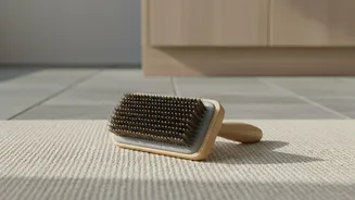 A Pet's Routine Should Change with Seasonal Shedding