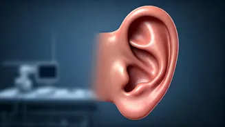 Why Do You Feel Dizzy When Standing Up?