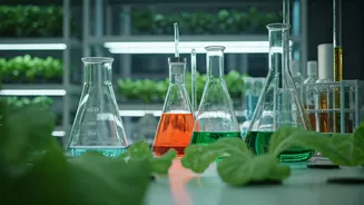 Why Hydroponic Nutrient Formulation Is Specialized High Demand Career