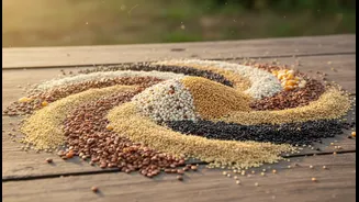 Whole Grains Matter More Than Copying One Foreign Recipe