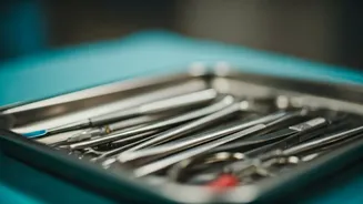 Typhoid Fever: Understanding Symptoms, Precautions, and Prevention