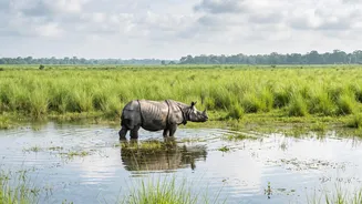 Kaziranga Opens Its Gates As Annual Monsoon Closure Ends