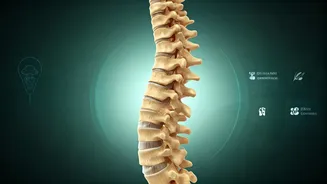 Guard Your Lower Back: 5 Doctor-Approved Daily Habits for a Healthier Spine