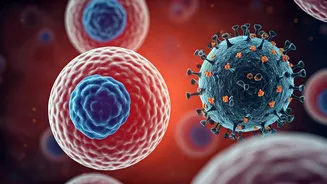 Why You Get Sick on Vacation: The Science Explained