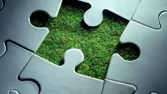 How India Can Use AI Without Removing Human Responsibility