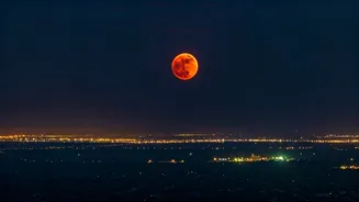 Related Stories banner