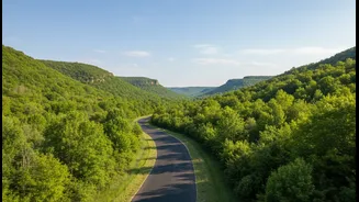 Cool Weather, Green Views And Easy Drives Await