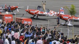 Tamil Nadu Government Issues High Alert Amid Large-Scale Crow Deaths