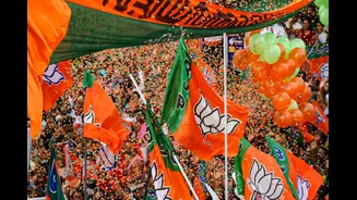 BJP Sweeps Gujarat Local Body Elections, Wins All 15 Municipal Corporations