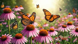 Butterfly Gardens Become Home Goals
