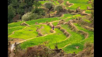 Shivraj Singh Chouhan and CM Dhami Launch ₹369.66 Crore 'Khet Bachao Abhiyan' in Uttarakhand