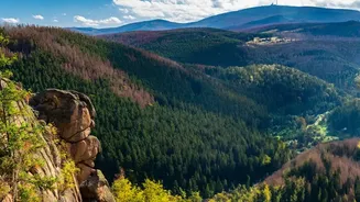 Explore Living Root Bridges And Sohra Waterfalls In Autumn Before Winter
