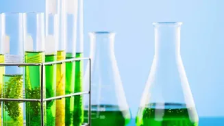 How Rice Husk Bio-Char Water Filters Remove Microplastics Cheaply For Homes