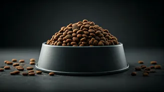 High-Protein Dog Food Is Going Mainstream In India