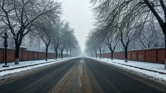 Delhi's Chilly Plunge: Coldest Day in 2026