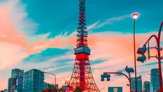IRCTC's 9-Day Japan Tour From Mumbai Starts At ₹2.63 Lakh: What The Package Includes