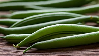 Related Stories banner