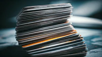 India's Credit Card King: 1,638 Cards & Travel Perks