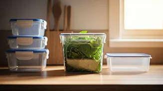 Plastic Containers Need Smarter Kitchen Habits Now