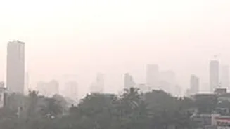 Bengaluru Wakes Up To Foggy Morning On November 2; Light Rainfall Is Predicted In These Region Of Karnataka