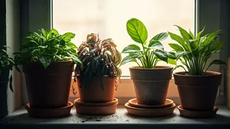 Revive Your Droopy Houseplants: 5 Essential Tips for a Lush Indoor Oasis