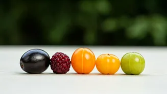 Unlock Radiant Skin: 5 Powerhouse Indian Berries for Your Daily Diet