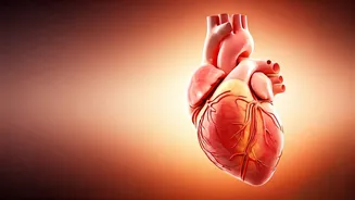 Taming the Silent Fire: Natural Ways to Fight Inflammation