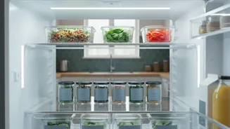 Planning A Shared-Fridge Agreement Should Not Leave Shelf Rules To Chance