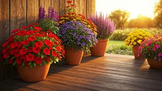 Annual Flowers Bring Instant Joy To Outdoor Corners