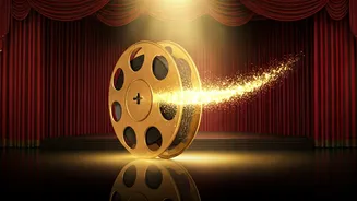 Alia Bhatt's Review: 'Border 2' Praised!