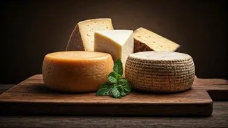 Indian Artisanal Cheeses Conquer Brazil: A Taste of Tradition and Nutrition