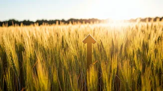 Sagittarius Daily Horoscope: Nov 12, 2025