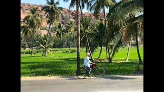 25 More Karnataka Taluks Likely to Be Declared Drought-Hit