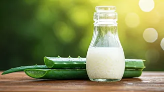 Unlock Lustrous Locks: DIY Korean Aloe & Rice Water Hair Serum for Summer