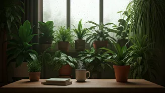 Indoor Plans Are The New Rainy-Season Flex