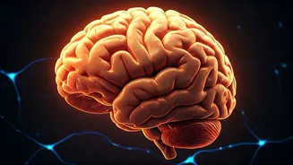 Exercise & Brain: A Healthy Connection