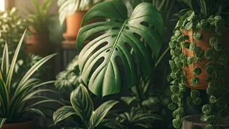 Plant Parenting Culture Blossoms Across Indian Cities