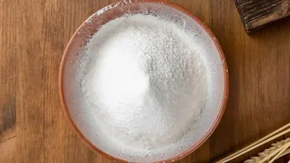 Upcycled Jackfruit Seeds Turn Into High-Protein Gluten-Free Flour For Modern Urban Bakers