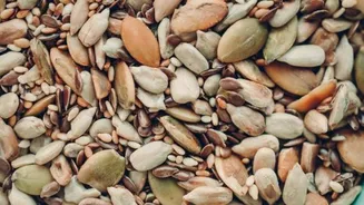 Buying seed snacks? Here's what you should know