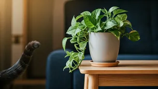 Pothos Styling Needs A Pet-Safety Reality Check