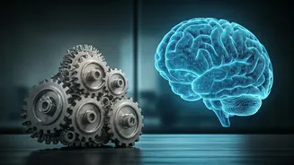 Hiring Managers Reward Intuition And Judgment Over Static Skills