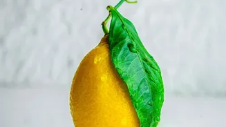 Pairing Fresh Lemon With Plant Protein Boosts Bioavailability And Iron Uptake Significantly