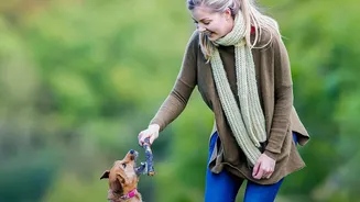 Indian Dogs And Cats Are Getting More Seasonal Care As Wet Weather Changes Their Outdoor Environment