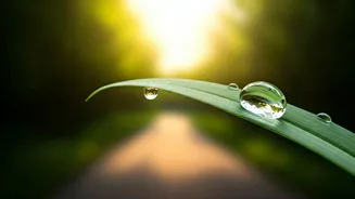 One Walk A Day Can Change Your Lifestyle