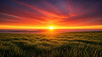 Summer Solstice Countdown: Get Ready For The Year's Longest Day