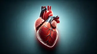 Alarming Rise: 18,000 Young Lives Lost to Heart Attacks in Haryana (2020-2026)