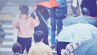Mumbai Travel During Rain: What Commuters Should Check Before Leaving