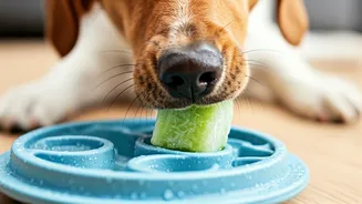 Freeze Blended Cucumber Juice In Puzzle Toys To Relax Dogs